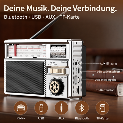 Anschlüsse am Retro-Radio für Audio und USB-Ladung